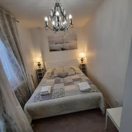 公寓 5号科尔马中心公寓