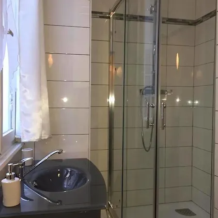 公寓 5号科尔马中心公寓 *