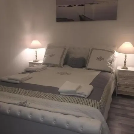 公寓 5号科尔马中心公寓 *